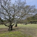 운림산방안내소 이미지