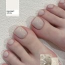 패디 이미지