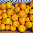 해와 바다 이미지