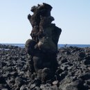 제주 비양도 호니토 이미지