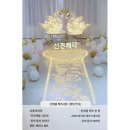백조사 이미지