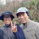 김태선농장 네이버블로그