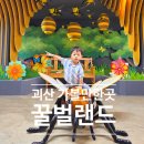 괴산군공유자전거(역말교옆) | 괴산 아이와 가볼만한곳 실내 꿀벌랜드