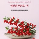 (주)포씨드 | 시머트 글리티씨드 펀사이클 다이어트 체중 관리 루틴