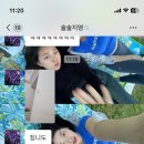 뽀바조 이미지