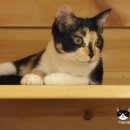 호텔가온 이미지