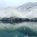 부남면행정복지센터 등나무화장실 | 무주가볼만한곳 추천