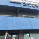 포항시남구63 | 포항 구룡포 맛집｜애견동반식당 고미곰탕 육회비빔밥 점심 내돈내산 후기(feat.양준혁선수)