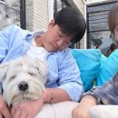 재범곤드레 | 애 아니면 개 뿐인 3월의 두 번째 글