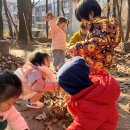 기쁨반 12월1주~2주 놀이이야기(숲 놀이, 눈 놀이, 조명박물관 견학) 이미지