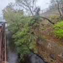 백운호수로 2길 이미지