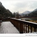 산천초목민박