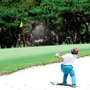 티샷 골프연습장 이미지