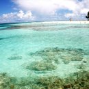 가고싶은 바다섬호텔 이미지