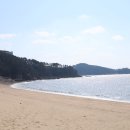 서울아이비에프여성의원 이미지