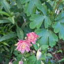 승희농장 이미지