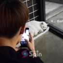 백야학원 이미지