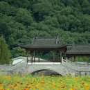 이 푸른농산물 이미지