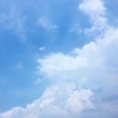 위드해지개 이미지