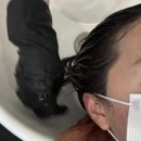 봄;보다 헤어살롱