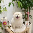 딱이네미용실 이미지