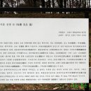 기준선생묘 이미지