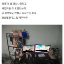 고백집 이미지