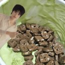 마루숲