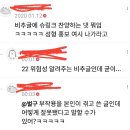 여초에서 성형 홍보글 기싸움 지린다 이미지