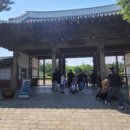달성토성마을 | 대구 달성공원 서문 옆 달성토성마을 및 포토존