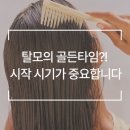 웰킨 천호점