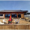 대부도한옥펜션 반디브 이미지