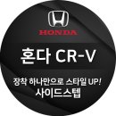 스타일업 이미지