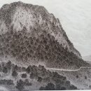 제주청년회 이미지