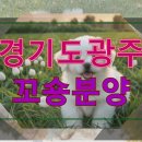 드림디포곤지암현대종합문구 | 경기도광주 꼬숑분양 직접 비교하고 선택한 가족의 기록