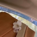 사회적협동조합 파란나라 이미지