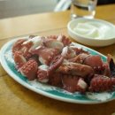 신자산어보