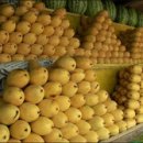 스쿠바민박 이미지