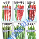 녹수슈퍼 이미지