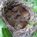 풍경시골 이미지