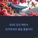 강진-51 | 이번 주말 강진 백련사 동백꽃 절정! 인생샷 명소 가이드