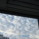 피엔뷰티 | [쏜직한후기] 1:1 밀착보정 해주시는 서면 증명사진 맛집: 피엔스튜디오