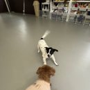 루앤멍 이미지