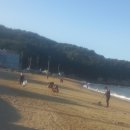 (주)해피C&T