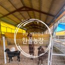 계상농장 | 아이랑 가볼만한 곳) 무안 한꼴농장 체험 후기