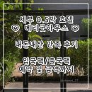 굿플러스마트 | 세부 베리굿하우스 0.5박 입국팩 4인 호텔 내돈내산 후기