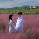뮬리Muhly
