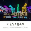 부부상점 | 청계천 서울빛초롱축제기간 변경 정보 잉어킹상점 다녀온 후기