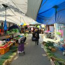 유성대로(유성-29) 이미지