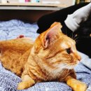 금정이비인후과의원 이미지